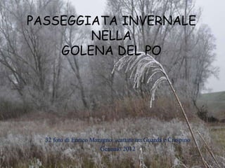 PASSEGGIATA INVERNALE
        NELLA
    GOLENA DEL PO




  32 foto di Enrico Maragno, scattate tra Guarda e Crespino
                       Gennaio 2012
 