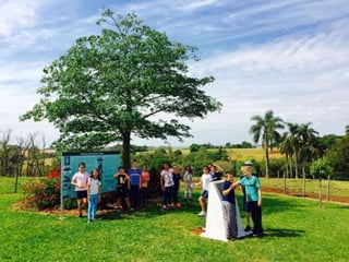 Passeio 4º anos interior 05/10