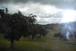 Passeio alqueva 2011