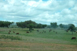 Passeio alqueva 2011