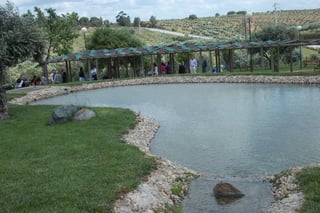 Passeio alqueva 2011