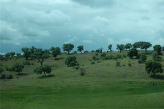 Passeio alqueva 2011