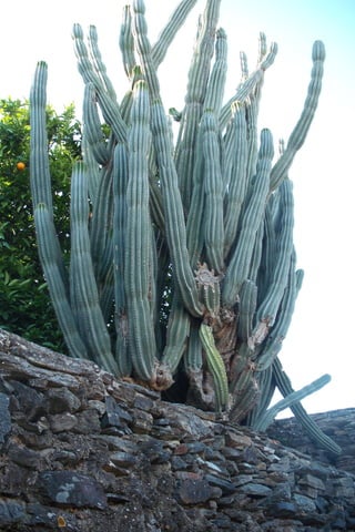 Passeio alqueva 2011