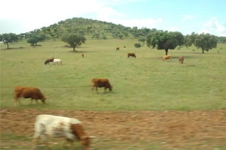 Passeio alqueva 2011