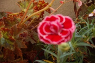 Passeio alqueva 2011