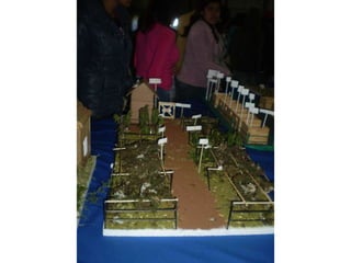 Passeio ao colégio agrícola