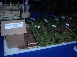 Passeio ao colégio agrícola