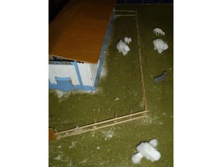 Passeio ao colégio agrícola