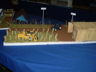 Passeio ao colégio agrícola