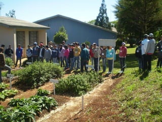 Passeio ao colégio agrícola