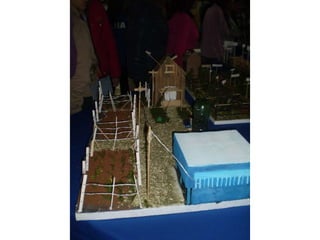 Passeio ao colégio agrícola