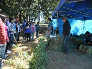 Passeio ao colégio agrícola 2