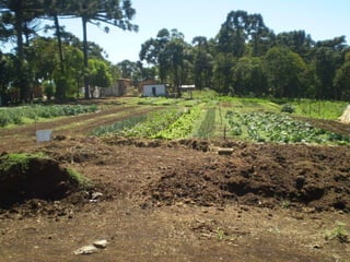 Passeio ao colégio agrícola 2