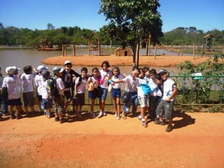 Passeio ao zoológico