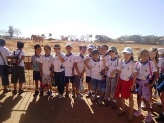 Passeio ao zoológico