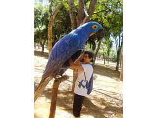 Passeio ao zoológico