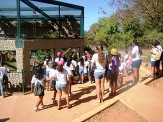 Passeio ao zoológico