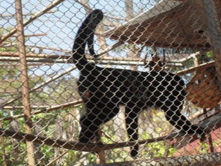 Passeio ao zoológico