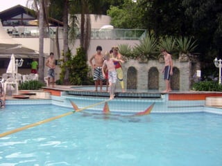 Passeioda8seriefazzendaparkhotel