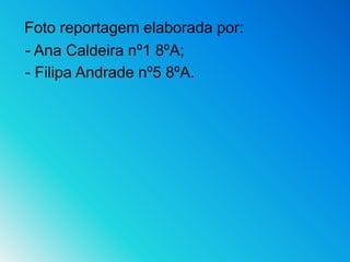 Foto reportagem elaborada por: - Ana Caldeira nº1 8ºA;- Filipa Andrade nº5 8ºA.