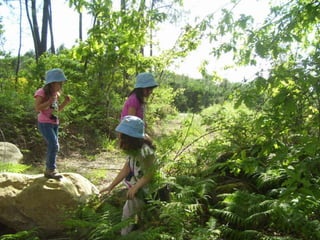 Passeio fim ano (p2)