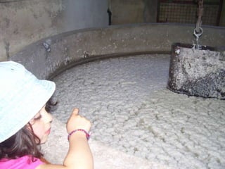 Passeio fim ano (p2)