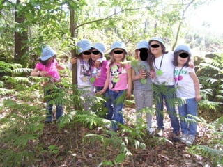 Passeio fim ano (p2)