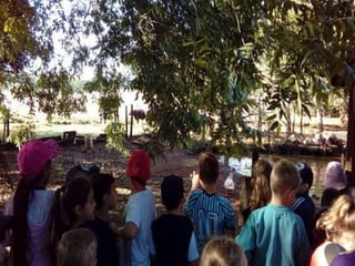 Passeio museu rural j2 e 13