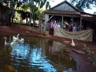 Passeio museu rural j2 e 13