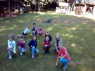 Passeio museu rural j2 e 13