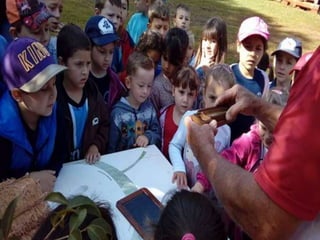 Passeio museu rural j2 e 13