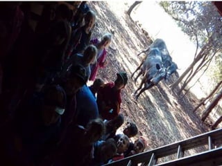 Passeio museu rural j2 e 13