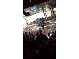 Passeio museu rural j2 e 13