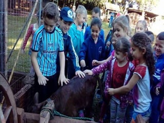 Passeio museu rural j2 e 13