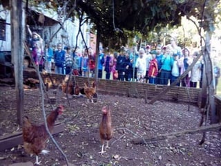 Passeio museu rural j2 e 13