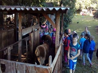 Passeio museu rural j2 e 13