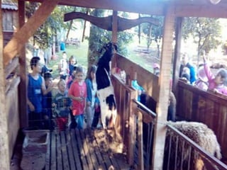 Passeio museu rural j2 e 13