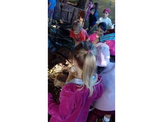 Passeio museu rural j2 e 13