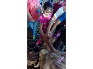 Passeio museu rural j2 e 13