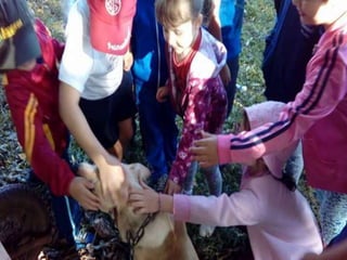 Passeio museu rural j2 e 13