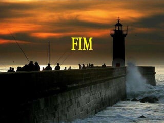 FIM 