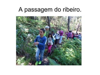 A passagem do ribeiro.
 