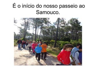É o início do nosso passeio ao
Samouco.
 