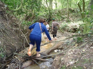 Passeio a Quinta da Estância 