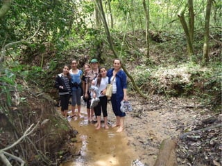 Passeio a Quinta da Estância 