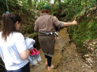 Passeio a Quinta da Estância 