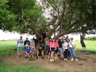 Passeio a Quinta da Estância 