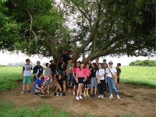 Passeio a Quinta da Estância 