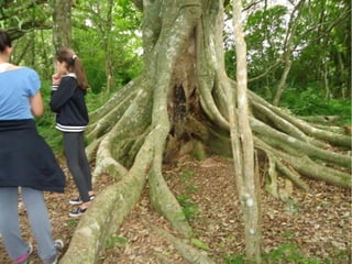 Passeio a Quinta da Estância 