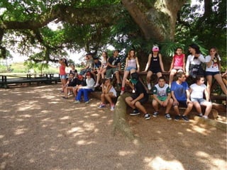 Passeio a Quinta da Estância 